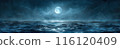 Full Moon Over Dark, Choppy Ocean Waves at Night 116120409