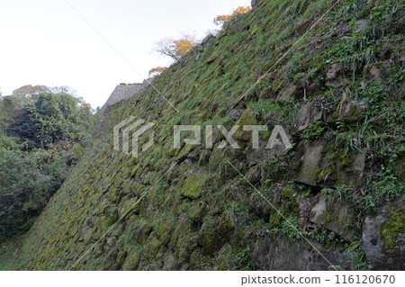 Castle's stone wall Castle's stone wall 116120670