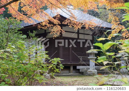 在秋葉期間的寺廟 116120683