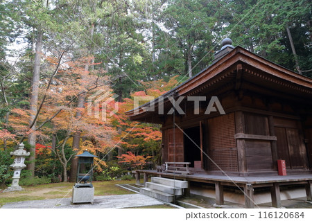 在秋葉期間的寺廟 116120684
