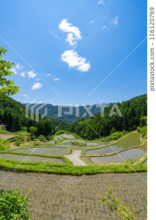 [Tokushima] Kashihara Rice Terraces [Kamikatsu Town] 116120769