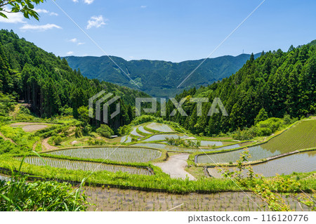 [Tokushima] Kashihara Rice Terraces [Kamikatsu Town] 116120776