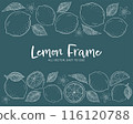 Lemon and leaf hand-drawn chalk art style frame illustration set 116120788