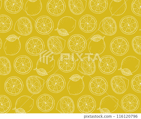Hand-drawn seamless pattern of sliced lemon Hand-drawn seamless pattern of sliced lemon 116120796