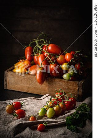 Mix colorful tomatoes Mix colorful tomatoes 116120969