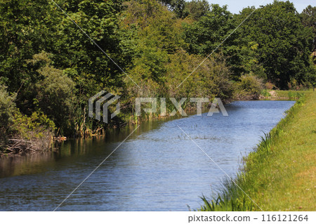 at the lake 116121264