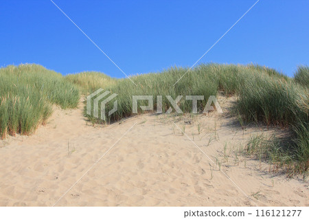 Dunes 116121277