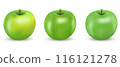 Vector drawing of set realistic green apples. 116121278