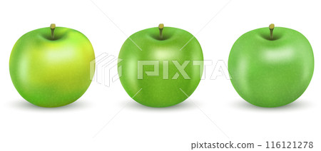 Vector drawing of set realistic green apples. Vector drawing of set realistic green apples. 116121278
