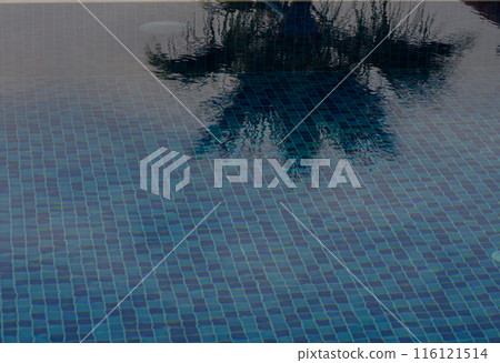reflection of a palm tree in the water of a swimming pool 2 116121514