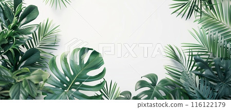 Tropical Green Leaves on White Background , with copy space 116122179
