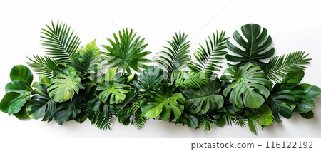 Assorted Tropical Green Leaves on White Surface 116122192