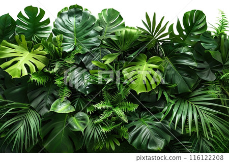 Lush Tropical Foliage with Various Green Leaves Lush Tropical Foliage with Various Green Leaves 116122208