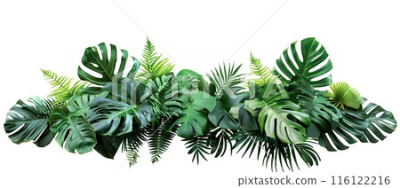 Assorted Tropical Green Leaves on White Surface Assorted Tropical Green Leaves on White Surface 116122216