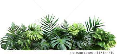Assorted Tropical Green Leaves on White Surface Assorted Tropical Green Leaves on White Surface 116122219