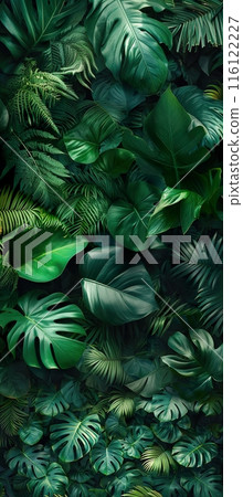 Lush Tropical Foliage with Various Green Leaves Lush Tropical Foliage with Various Green Leaves 116122227