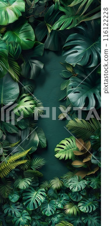 Lush Tropical Foliage with Various Green Leaves Lush Tropical Foliage with Various Green Leaves 116122228