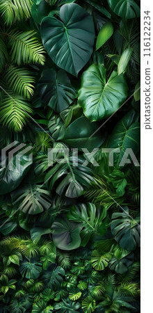 Lush Tropical Foliage with Various Green Leaves 116122234