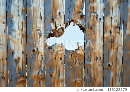 Weathered Wooden Fence with Gaping Hole Weathered Wooden Fence with Gaping Hole 116122279