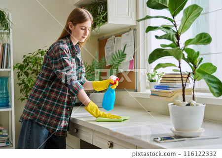 Young woman cleaning room, dusting, cleaning with spray and cloth 116122332