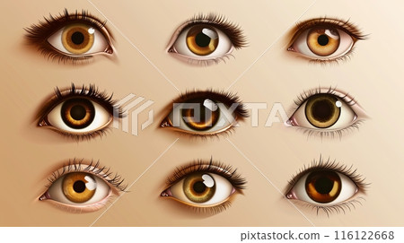 brown eyes in various shapes and sizes, arranged neatly on a beige background 116122668