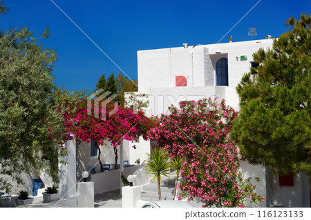Building of hotel in traditional Greek style and Bougainvillea flowers, Santorini island, Greece 116123133