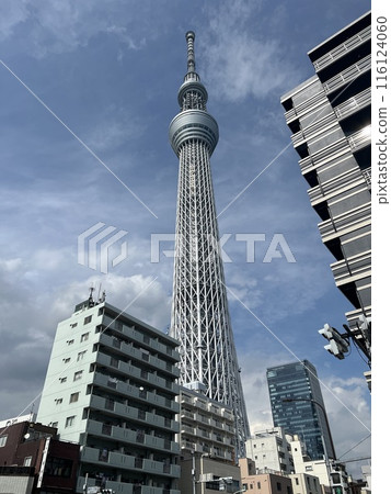 從建築區看到的晴空塔 從建築區看到的晴空塔 116124060