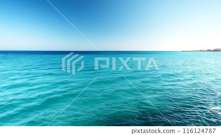 高度透明的熱帶海洋景觀 116124787