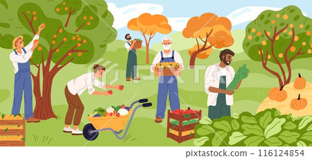 Happy farmers at harvest. Gardeners collect fruits. People pick berries. Agriculture workers growing vegetables. Garden crop. Person puts tomatoes in wheelbarrow. Garish vector concept Happy farmers at harvest. Gardeners collect fruits. People pick berries. Agriculture workers growing vegetables. Garden crop. Person puts tomatoes in wheelbarrow. Garish vector concept 116124854