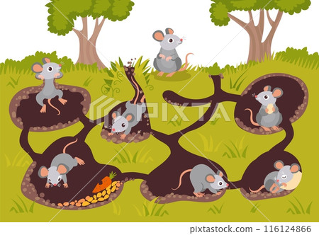Mice in burrows. Cartoon animals in hole connected by underground passages. Cute rodents sleep, eat and dig ground. Forest creature. Rats in soil hollow tunnels. Splendid vector concept Mice in burrows. Cartoon animals in hole connected by underground passages. Cute rodents sleep, eat and dig ground. Forest creature. Rats in soil hollow tunnels. Splendid vector concept 116124866