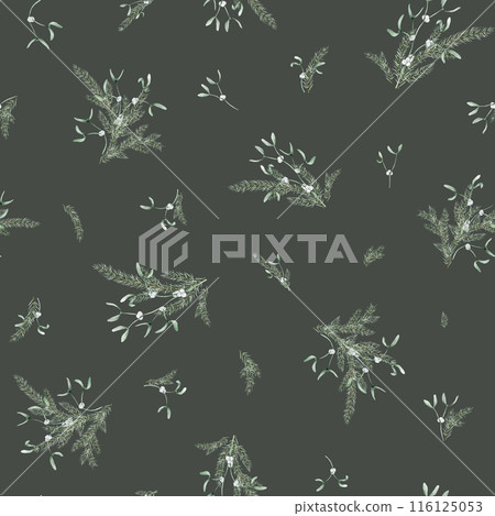 Seamless pattern with New Year's green plants and berry white mistletoe. Repeat pattern with coniferous forest branches of spruce or fir. Watercolor hand drawing illustration on isolated background. 116125053