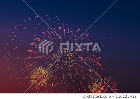 Bright colored fireworks on blue sky background. Celebration and holidays concept. New Year, Independence Day, July 4 Festival. Bright explosions of lights in the sky. Bright colored fireworks on blue sky background. Celebration and holidays concept. New Year, Independence Day, July 4 Festival. Bright explosions of lights in the sky. 116125412