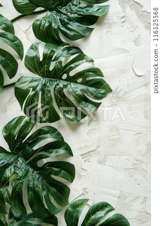 Tropical Green Leaves Frame on White Background 116125568