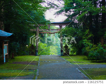 平泉寺白山神社 福井縣勝山市 平泉寺白山神社 福井縣勝山市 116125751