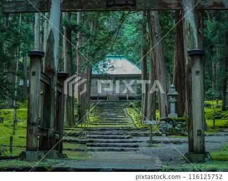 平泉寺白山神社 福井縣勝山市 平泉寺白山神社 福井縣勝山市 116125752