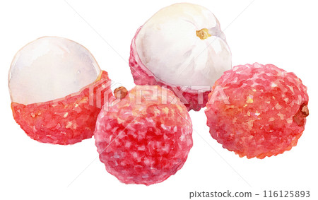 荔枝水彩插圖 4 種水果 116125893