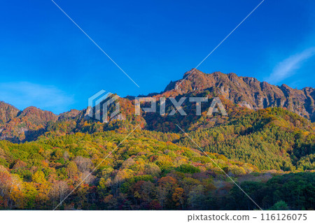 [Autumn material] Autumn Togakushi Plateau Kagamiike [Nagano Prefecture] 116126075