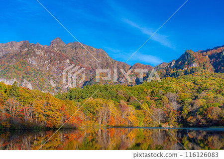 [Autumn material] Autumn Togakushi Plateau Kagamiike [Nagano Prefecture] 116126083