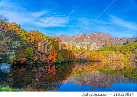 [Autumn material] Autumn Togakushi Plateau Kagamiike [Nagano Prefecture] 116126084