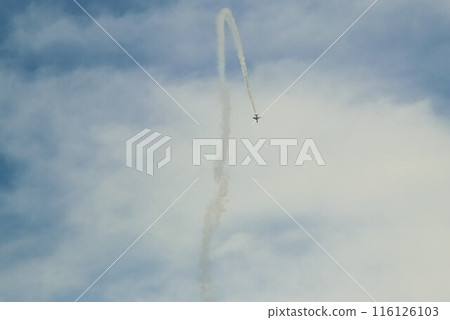 Air Self Defense Force Blue Impulse Air Self Defense Force Blue Impulse 116126103