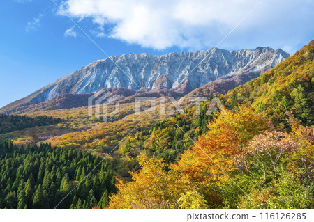 Autumn scenery of Oku-Daisen: Kagikake Pass 116126285