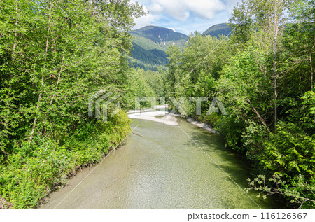 A rivulet with crystal clear water flowing down the mountains - tributary of Kettle River, BC, Canada 116126367