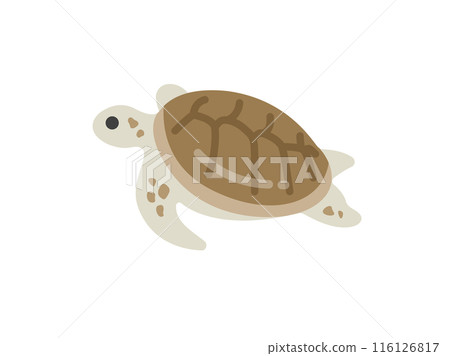 海龜圖標說明 116126817