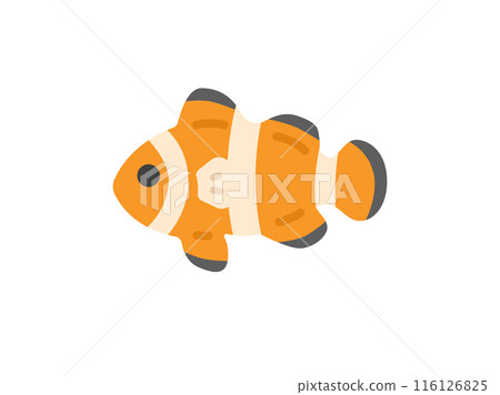 小丑魚圖示說明 小丑魚圖示說明 116126825