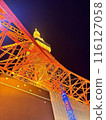 Skytree at night seen from below 116127058