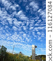 White clouds in the autumn sky 116127084