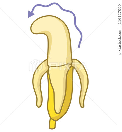 具有男性生殖器形象的香蕉,枯萎的香蕉 具有男性生殖器形象的香蕉,枯萎的香蕉 116127090