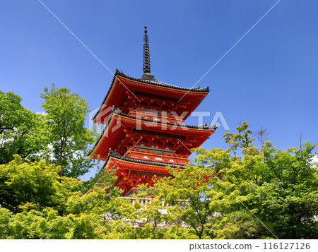 Kiyomizu-dera三重塔 116127126