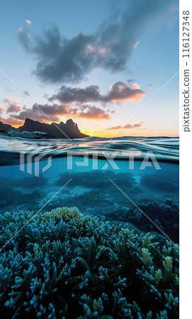 Serene Marine Landscape at Sunset with Vibrant Coral Reefs Below. 116127348