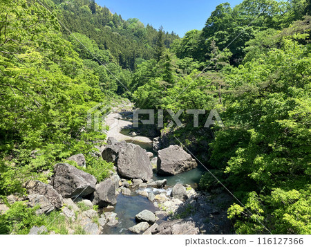 Sanba Ishido Sanba Ishido 116127366